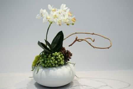 干花装饰墙图片欣赏 迷你花饰欣赏