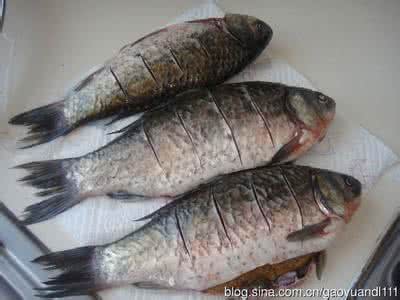 鲫鱼汤的做法 转载     鲫鱼的9种做法