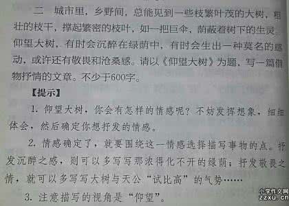 夏日里那一片阴凉 夏日中的阴凉作文800字