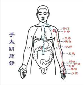 中医五脏养生 中医经络养生：五经络按摩养五脏