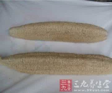 酒店的丝瓜络是干嘛的 丝瓜络酒