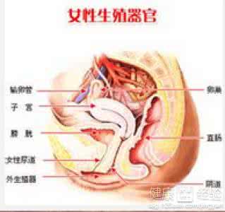 得了外阴白斑怎么办 得了外阴白斑怎么办 得了外阴白斑要怎么办