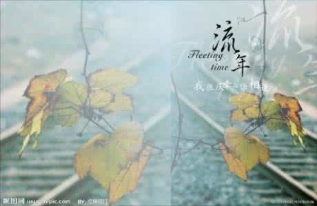 邂逅流年 一场邂逅,暖了流年