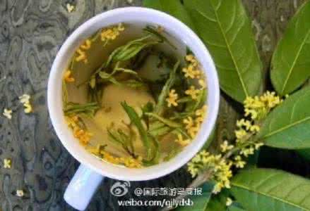 口干口臭喝什么茶好 桂花茶 口臭 口干口臭喝什么好？口干口臭常喝桂花茶