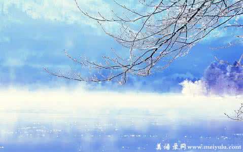 诗意情怀 盈心此间，诗意情怀