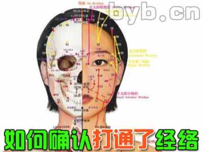 中医世家谷老师 五代中醫世家老師的內部 課件,很難學到的知識。