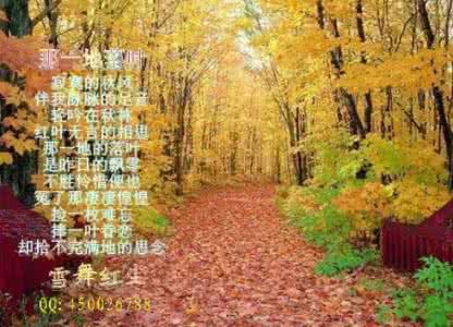 红尘遗梦东莞那些年 红尘遗梦    泪湿斜阳