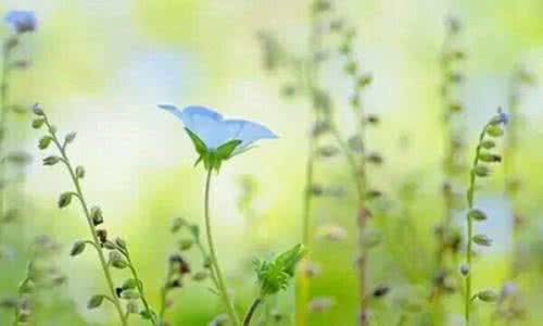 人间词话三种境界 做人的三种境界 原谅是一种做人的境界