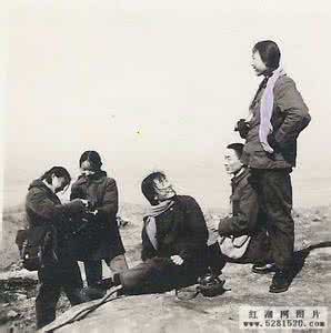 知青小说《净土》:女知青为何被蹂躏?