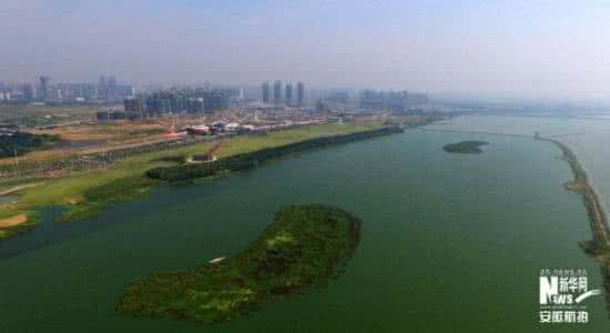 大湖名城 创新高地 航拍最美大湖名城