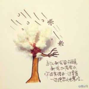 但我拥有一颗勇敢的心 一颗勇敢的心会让一切梦想实现