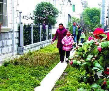 公共关系讲究诚信原则 公共关系讲究诚信原则 小区绿化的原则和讲究