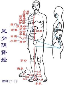 足少阴肾经不通 足少阴肾经