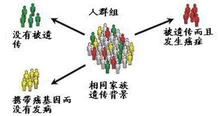 癌症会遗传吗 【癌症会遗传吗】癌症遗传吗_癌症会遗传吗