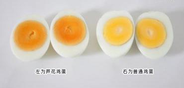 土鸡蛋和普通鸡蛋区别 土鸡蛋与普通鸡蛋怎样区别 ?