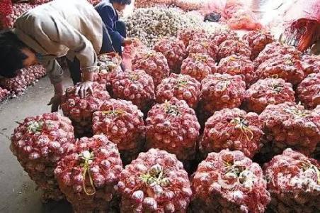 秋雨落叶伤感图片 十头大蒜一盘菜  秋雨落叶“蒜你狠”