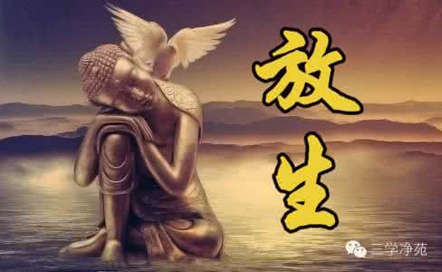 大智慧经典版 【佛典故事】舍利弗用大智慧度傲慢豪富