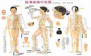 针灸皱纹 如何去皱纹？中医教你针灸穴位