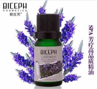 薰衣草单方精油功效 薰衣草单方精油怎么用 薰衣草单方精油的功效有哪些?