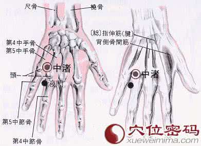 中渚透少府的作用 中渚穴