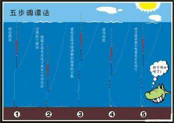 台钓调漂 简易休闲台钓调漂术