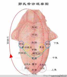 郭氏舌诊与用药 转载 郭氏舌诊图：一分钟教你学会看舌诊病