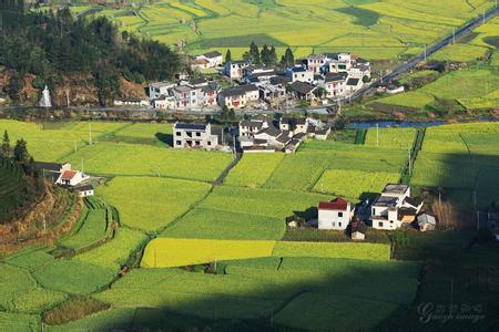 山村隆太女朋友照片 【春天里的故事】美丽山村---安徽 家朋与柯村【16】