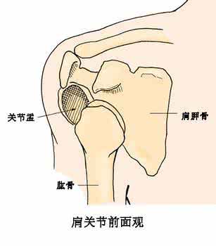 价值千金的松肩法 价值千金的松肩法、按摩师的自救法