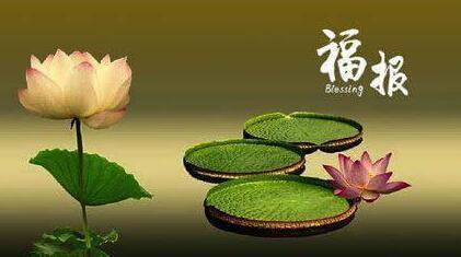 出生年月决定寿命长短 几月出生,决定了你是享福命,还是劳累命!