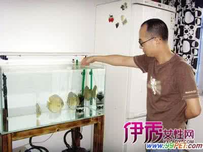 热带鱼饲养 饲养热带鱼过冬也要有讲究【图】