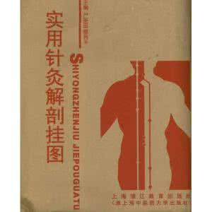 针灸治疗仪的骗局揭秘 针灸按摩书籍免费下载 针灸按摩类书籍荟萃 针灸秘开