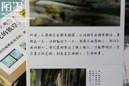 燎原的彼岸花2014 站在岁月的彼岸----写给2014