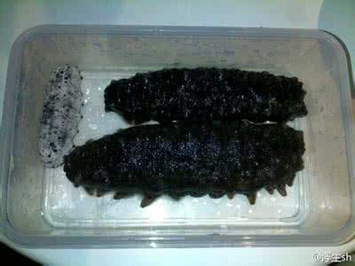 水发海参吃法的做法 水发海参的家常做法
