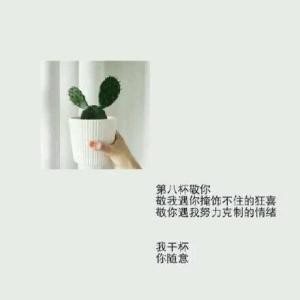 敬你一杯酒 敬你一杯酒，从此莫回头。