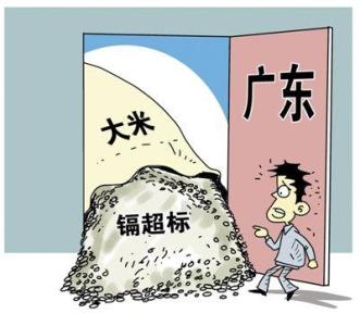 大米重金属超标 广东将重金属列为大米必检项目 无合格证禁售