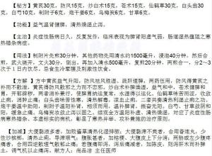 罗大伦除湿热妙方 祖传秘方：肠道湿热杂病妙方清温涩肠汤