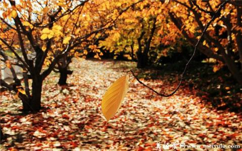 温暖心灵的情感美文 一路风景，为谁停留？【情感美文】