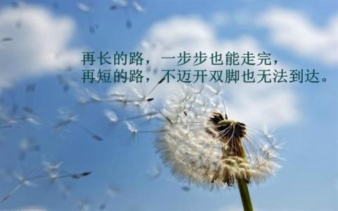 人生没有如果 人生没有如果，命运不相信假设