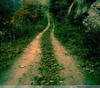 一杯茶一首歌 一杯茶.一首歌.一段淡淡的思绪.