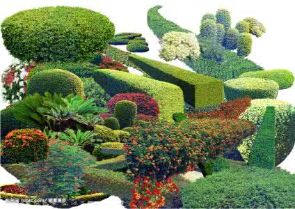 植物造型制作方法 植物造型的制作