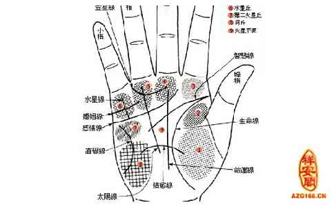 手掌看手相 看手相手掌凹馅富贵吗 男人手掌如绵女人如柴才是富贵命