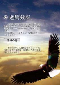 猫头鹰效应 老鹰效应