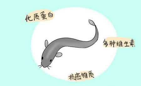 精子卵子 活力曲线 吃什么能够提升精子和卵子的活力？