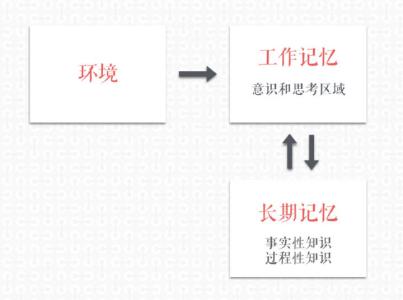大脑的运作原理 不明白大脑如何运作,自学是无效的