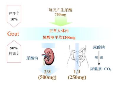 引发痛风原因 引发痛风原因 数学可引发生理痛？ 元方你怎么看