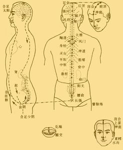 十二经络和奇经八脉 【经络养生】奇经八脉-----督脉