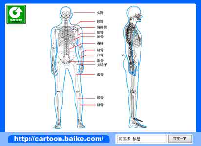 人体各部分名称图解 人体各部分名称图解 人体各部分名称