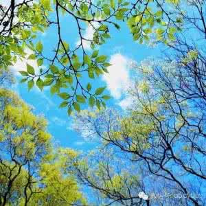 一日禅 【一日禅】既相遇，必相惜