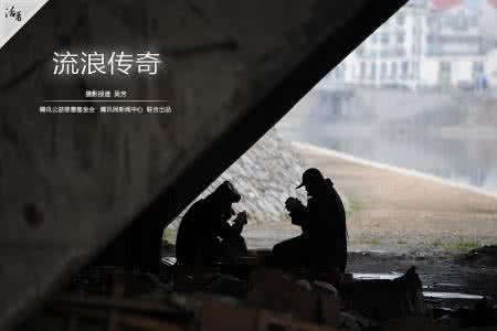 流浪狗群体伤人 离开旧有群体，我们独自流浪：读《就这样慢热地活着》