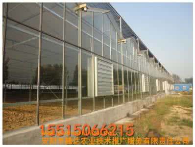 如何建造简易小温室 简易温室 如何建造简易小温室？